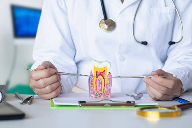 Best Emergency Cosmetic Dentistry (e.g., broken veneers) in Marshall, TX